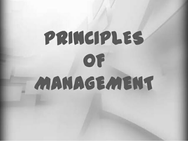 Principles of Effective Management