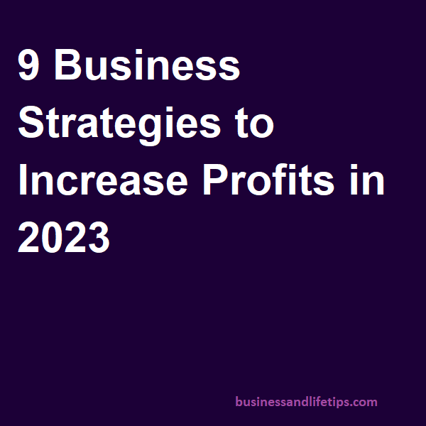 9 Business Strategies to Increase Profits in 2023