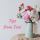 Tips from Toni Avatar