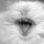 Cara Hartley Avatar