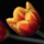 Charli Dee Avatar